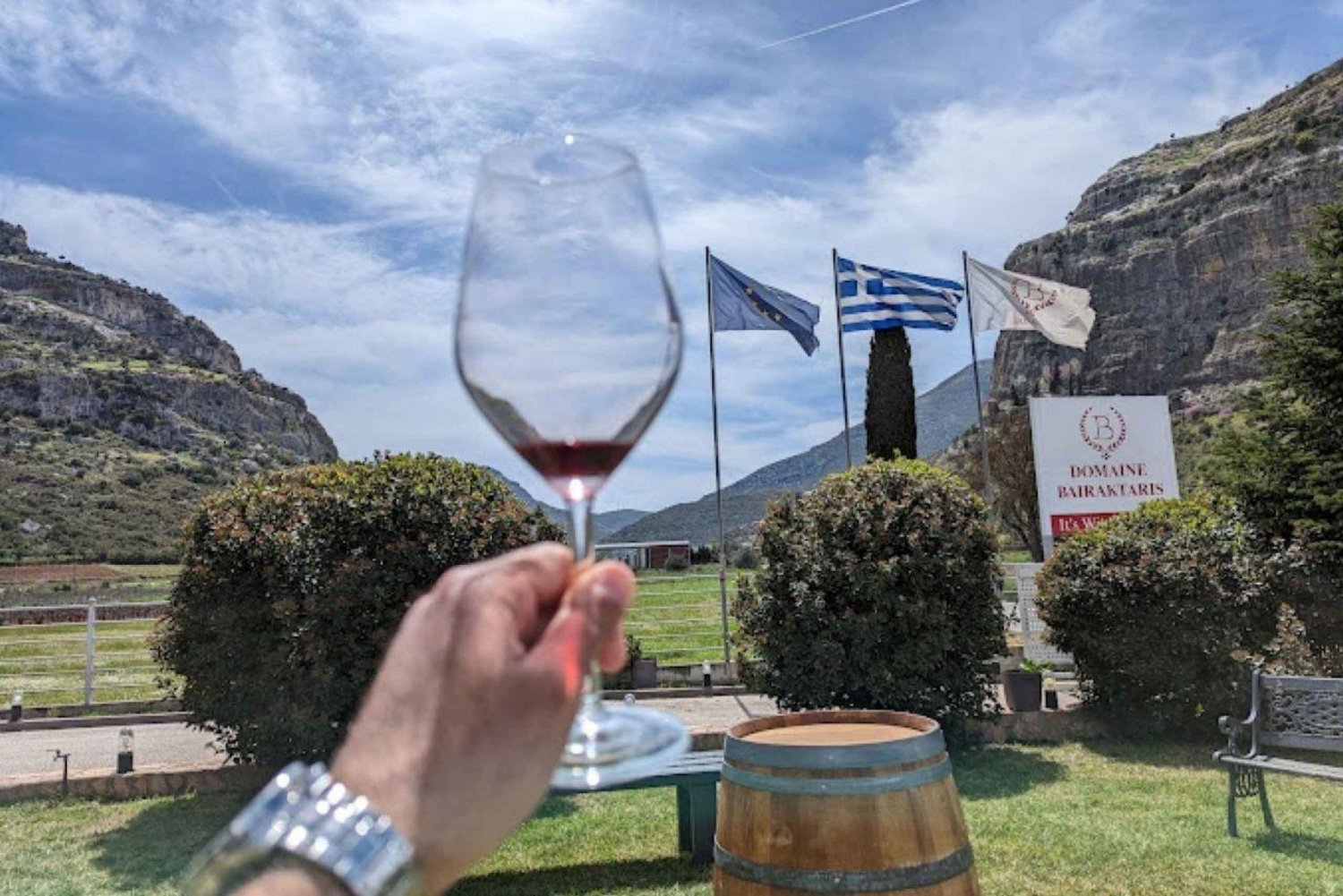From Athens: Wine Roads Private Tour with Wine Tasting
