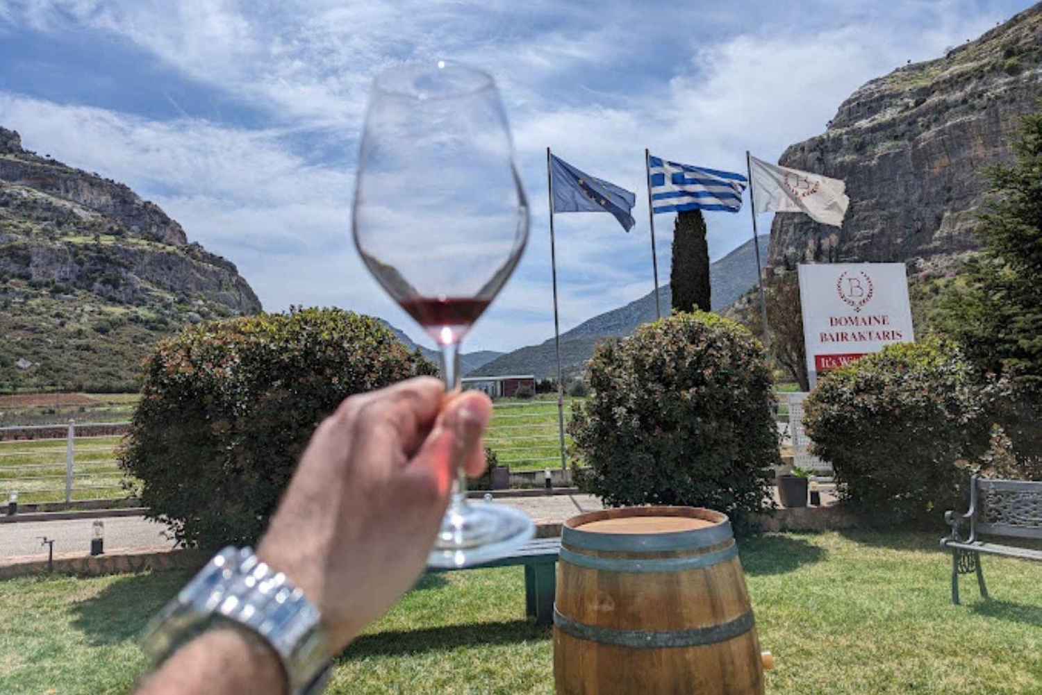 Från Aten: Vinvägar privat tur med vinprovning