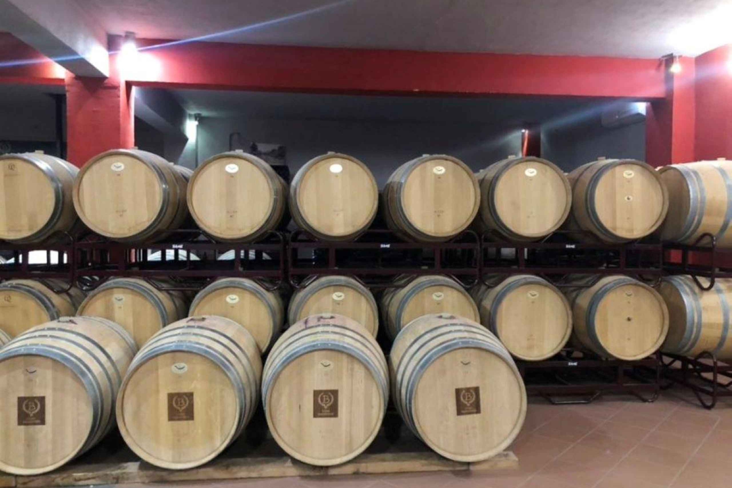 Från Aten: Vinvägar privat tur med vinprovning