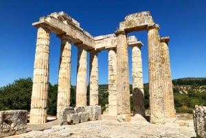 From Athens: Wine Roads Private Tour with Wine Tasting
