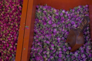 クルーズ船の港から：ギリシャ料理ツアー + アテネでの自由時間