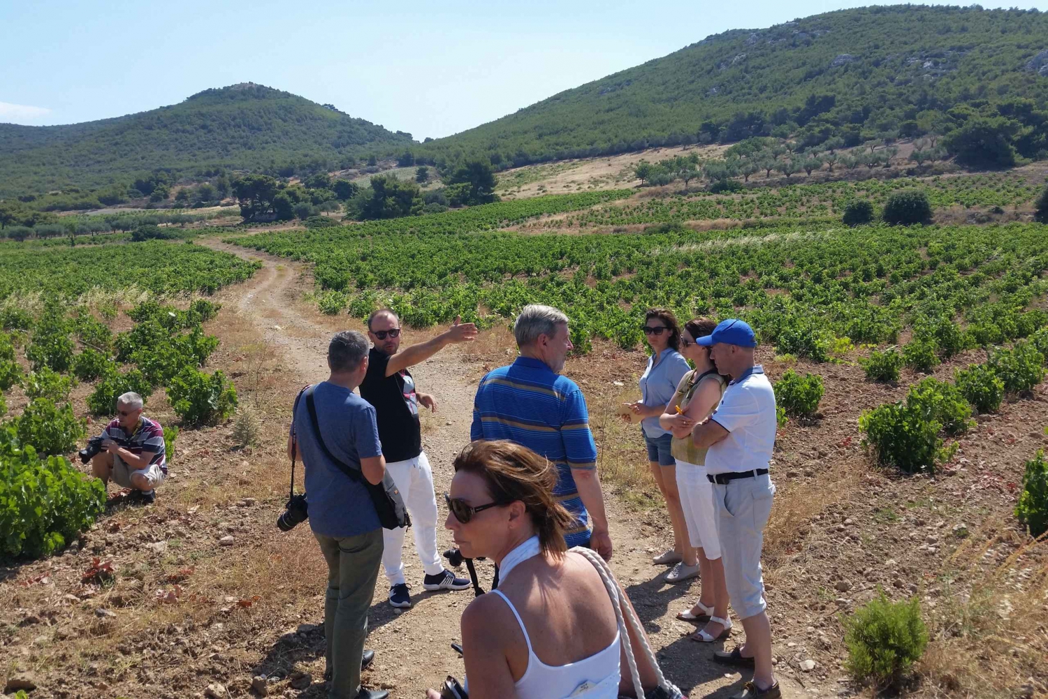 From Athens: Private Wine Tour and Lunch at the Seaside