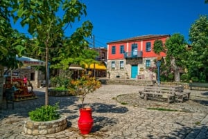 Au départ de Thessalonique : Visite privée de Chalkidiki-Kassandra