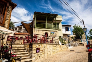 Au départ de Thessalonique : Visite privée de Chalkidiki-Kassandra