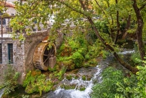 Tour di un'intera giornata a Delfi, monastero di Hosios Loukas e Livadia
