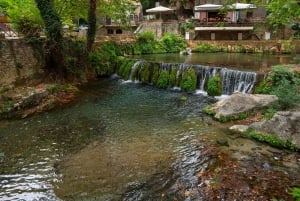 Tour di un'intera giornata a Delfi, monastero di Hosios Loukas e Livadia