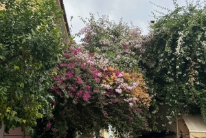 Deuses, heróis e vista da Acrópole: passeio a pé pela Atenas mítica