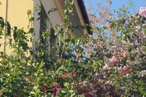 Bogowie, bohaterowie i widok na Akropol: mityczna wycieczka piesza po Atenach