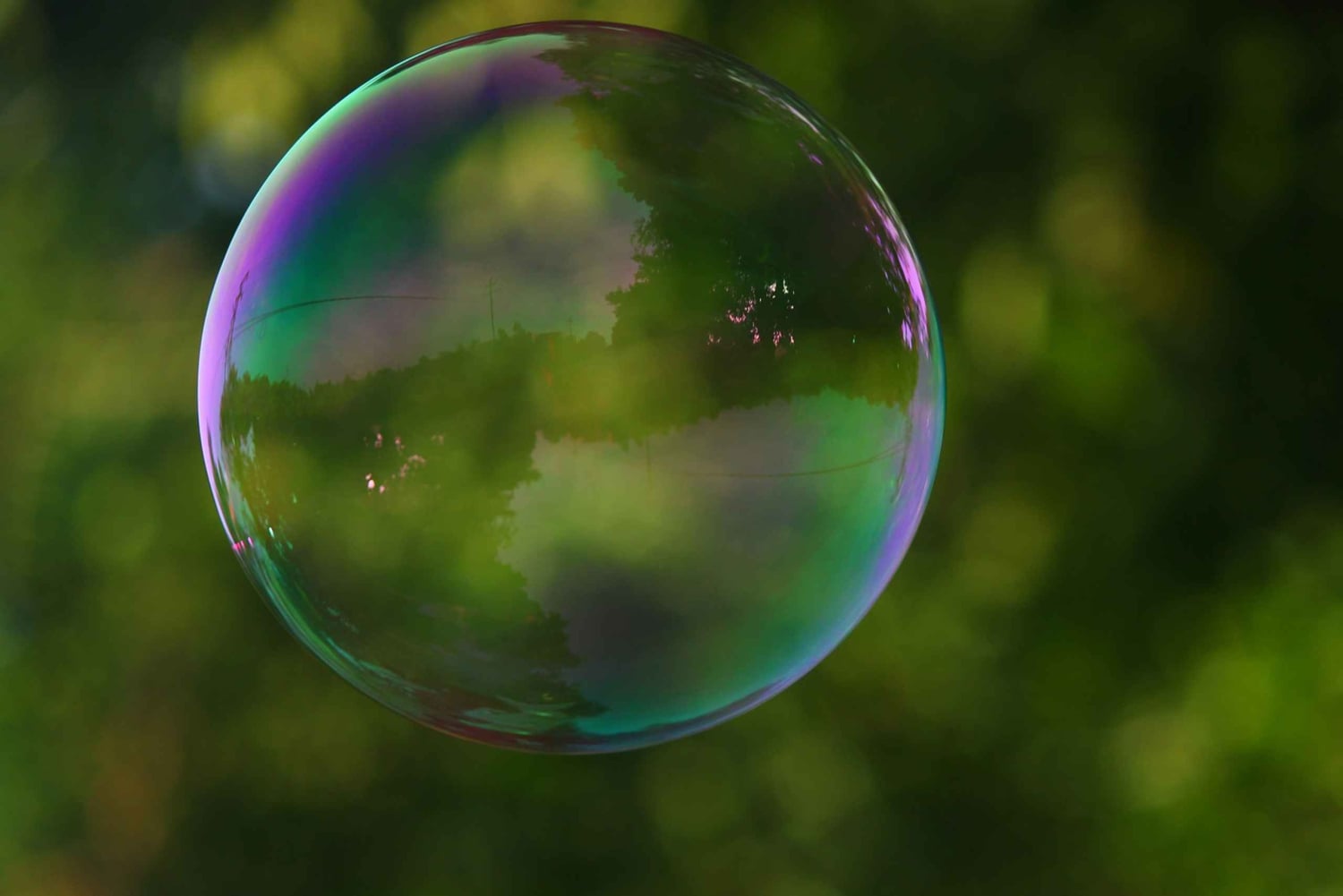 Греческая мифология для детей: индивидуальная экскурсия