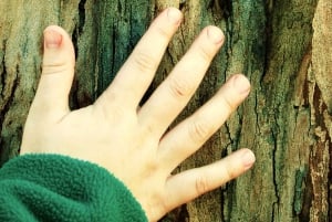 Греческая мифология для детей: индивидуальная экскурсия