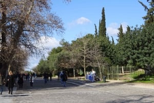 Guided walking tour of Acropolis with bus city tour