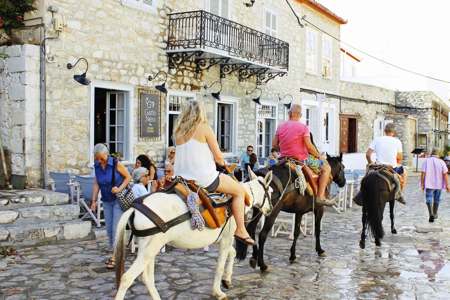Ilha de Hydra: viagem de 1 dia saindo de Atenas com mergulho