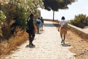 Île d'Hydra : excursion d'une journée complète au départ d'Athènes avec baignade