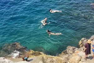Île d'Hydra : excursion d'une journée complète au départ d'Athènes avec baignade