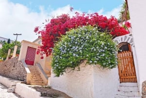 Île d'Hydra : excursion d'une journée complète au départ d'Athènes avec baignade