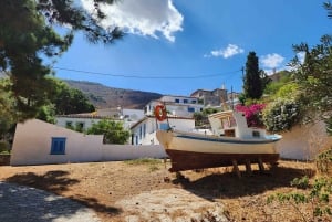 Hydra Island Private tour from Athens with your own guide
