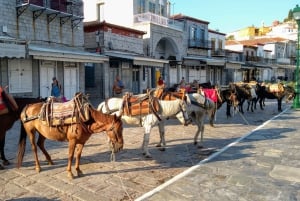 Isla de Hydra Tour privado desde Atenas con tu propio guía