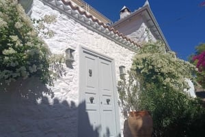 Isla de Hydra Tour privado desde Atenas con tu propio guía