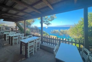 Isla de Hydra Tour privado desde Atenas con tu propio guía