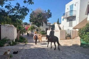 Isla de Hydra Tour privado desde Atenas con tu propio guía