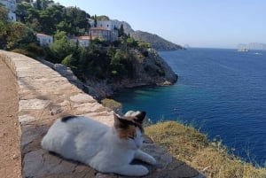 Isla de Hydra Tour privado desde Atenas con tu propio guía