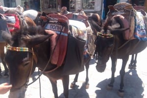 Isla de Hydra Tour privado desde Atenas con tu propio guía