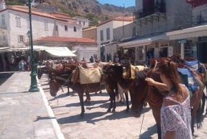 Isla de Hydra Tour privado desde Atenas con tu propio guía