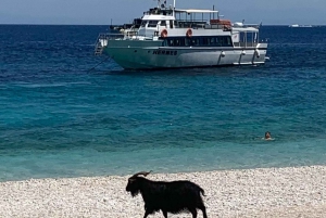 Ihaca-båtcruise med bading og attraksjoner