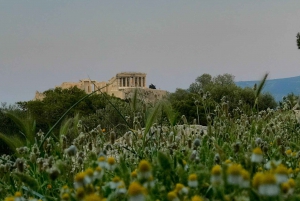 Uskomaton Ateenan kävelykierros piilotetuilla jalokivillä