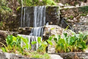 Waterfall,Lake Kournas, Ancient Lappa, Preveli Palms & Lunch