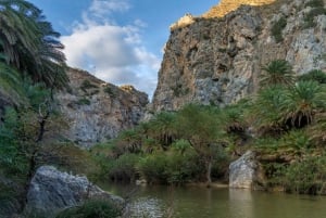 Off-Road: Waterfall, Lake Kournas, Gorges, Palm Beach, Lunch