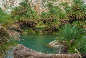 Waterfall,Lake Kournas, Ancient Lappa, Preveli Palms & Lunch