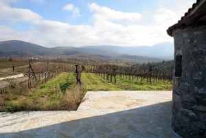 Mantinia: Private Wine Tasting with Cave Tour and Lunch