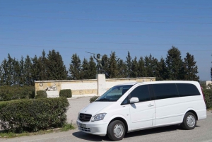 From Athens: Marathon and Thermopylae Full Day Private Trip