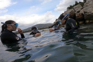 Nea Makri: Marathon Cape & Schinias-bugten Snorkeltur