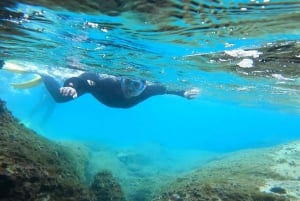 Nea Makri: Passeio de mergulho com snorkel no Cabo Marathon e na Baía de Schinias