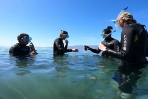 Nea Makri: Passeio de mergulho com snorkel no Cabo Marathon e na Baía de Schinias