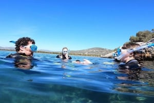 Nea Makri: Snorkling i Marathon Cape & Schinia-bugten