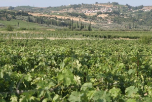 Nemea and Nafplio: Private Wine and History Tour