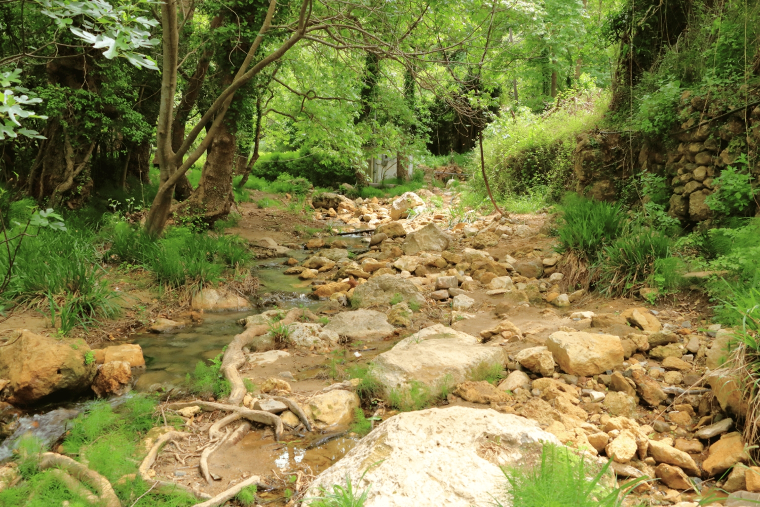 Off-road: naturalne jezioro, górskie wąwozy, las palmowy i plaża