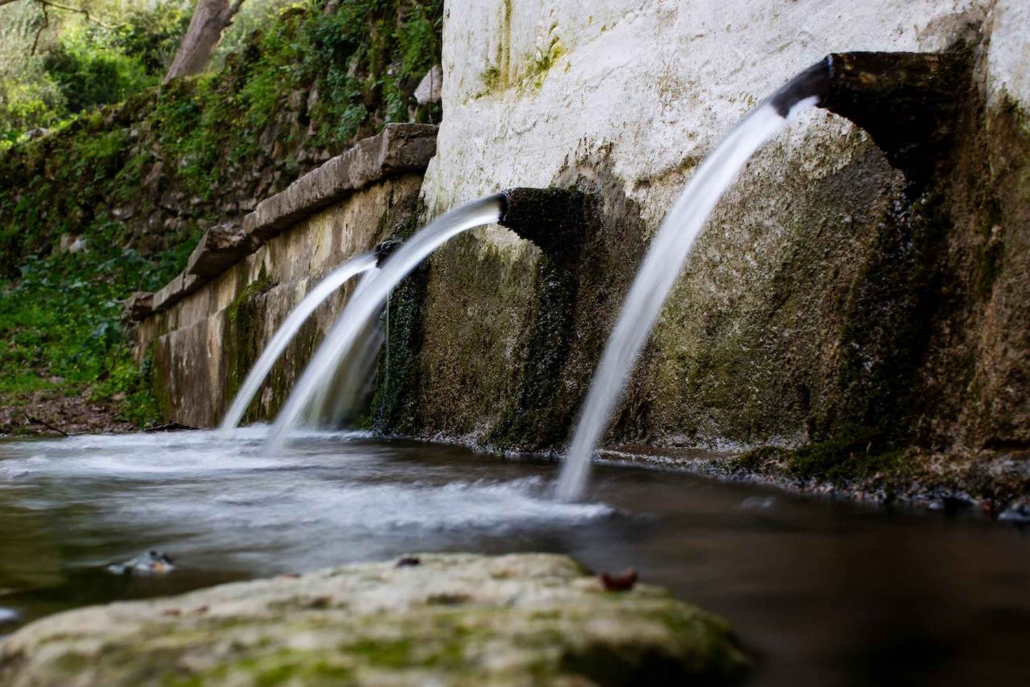 Off-road: naturalne jezioro, górskie wąwozy, las palmowy i plaża