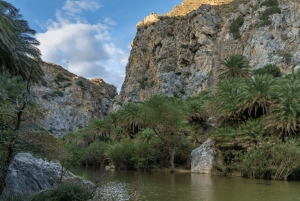 Off-road: naturalne jezioro, górskie wąwozy, las palmowy i plaża