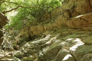 Off-road: naturalne jezioro, górskie wąwozy, las palmowy i plaża