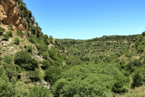 Off-road: naturalne jezioro, górskie wąwozy, las palmowy i plaża