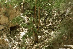 Off-road: naturalne jezioro, górskie wąwozy, las palmowy i plaża