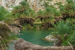 Off-road: naturalne jezioro, górskie wąwozy, las palmowy i plaża