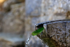 Parnitha (Parnis) / Skipiza e Mola loop - Escursione vicino ad Atene