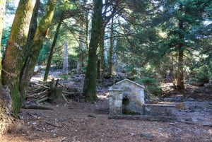 Parnitha (Parnis) / Skipiza & Mola Rundweg - Wanderung bei Athen