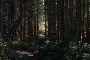 Parnitha (Parnis) / Skipiza & Mola Rundweg - Wanderung bei Athen