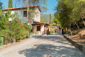 Hoogtepunten van de Peloponnesos: Epidaurus Mycene Korinthe Nafplio